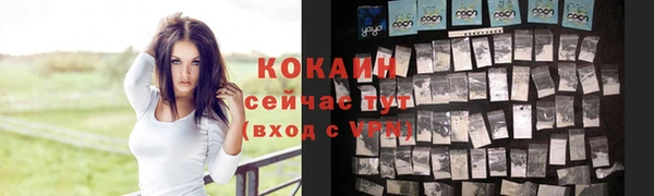 винт Михайлов