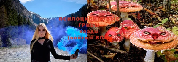 jwh Михайловск