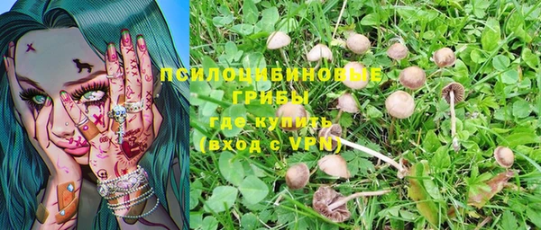 jwh Михайловск
